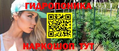 сатива Сланцы