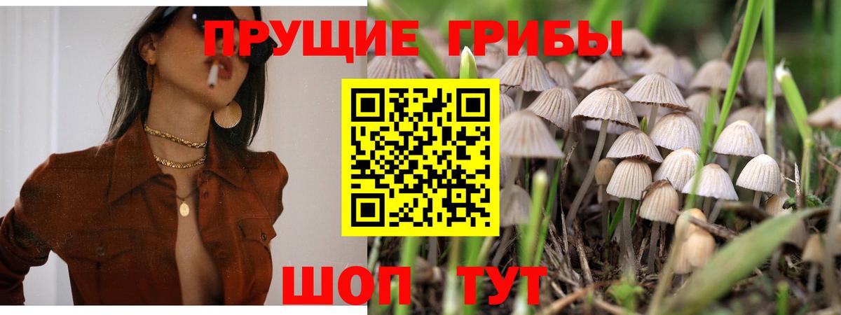 Псилоцибиновые грибы MAGIC MUSHROOMS  Вход с VPN  Орск 
